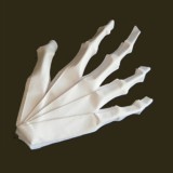 Origami main de squelette