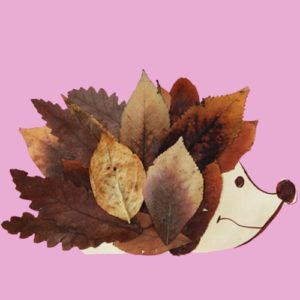 hérisson feuilles