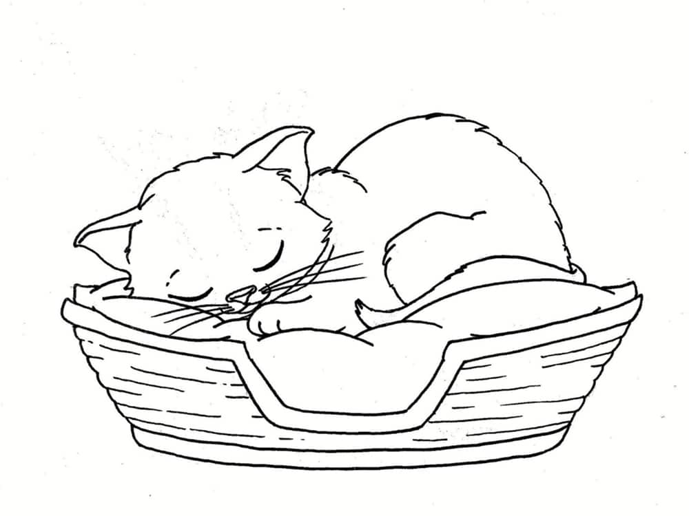 Coloriage De Chat Ã Imprimer - Coloriage.eu.org