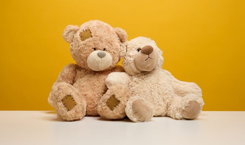 Histoire de l'ours en peluche Teddy