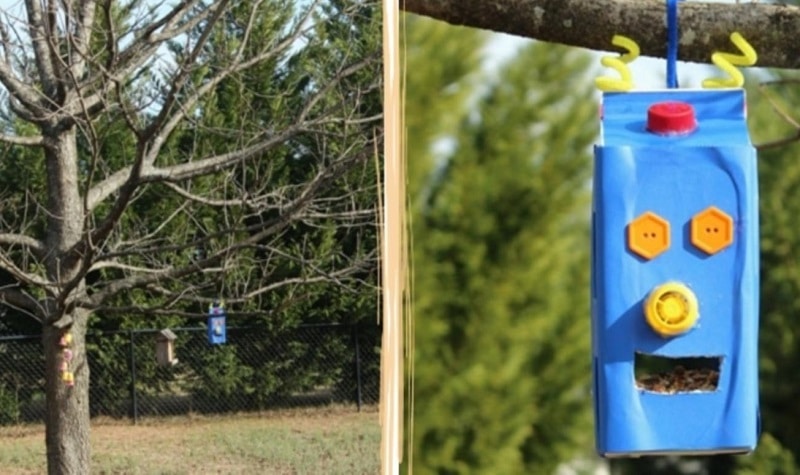 Fabriquer une mangeoire robot pour oiseaux