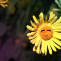Grand jeu sur les fleurs pour les maternelles (3 à 6 ans)