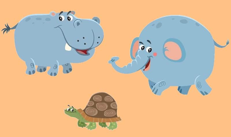 La tortue, l'éléphant et l'hippopotame