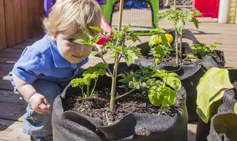 Faire du jardinage urbain avec les enfants