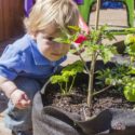 Conseils pour faire du jardinage urbain avec des enfants