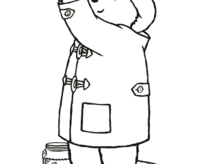 paddington dessin