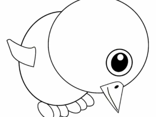 poussin &agrave; colorier