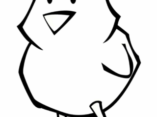 un coloriage poussin