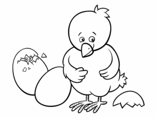 coloriage oeuf poussin