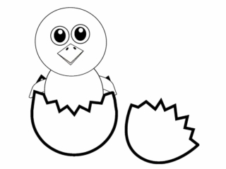 dessin de poussin et oeuf