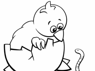 coloriage poussin oeuf