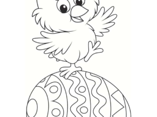 coloriage de poussin