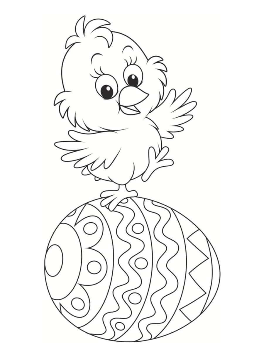 coloriage poussin