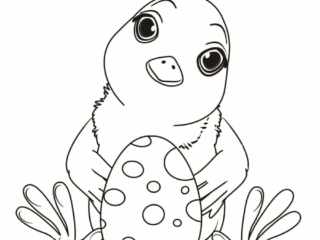 coloriages de poussin