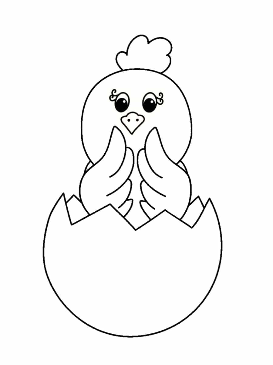 Coloriage Poussin Gratuit A Imprimer