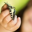 Jeux sur les insectes : quelques idées simples et amusantes
