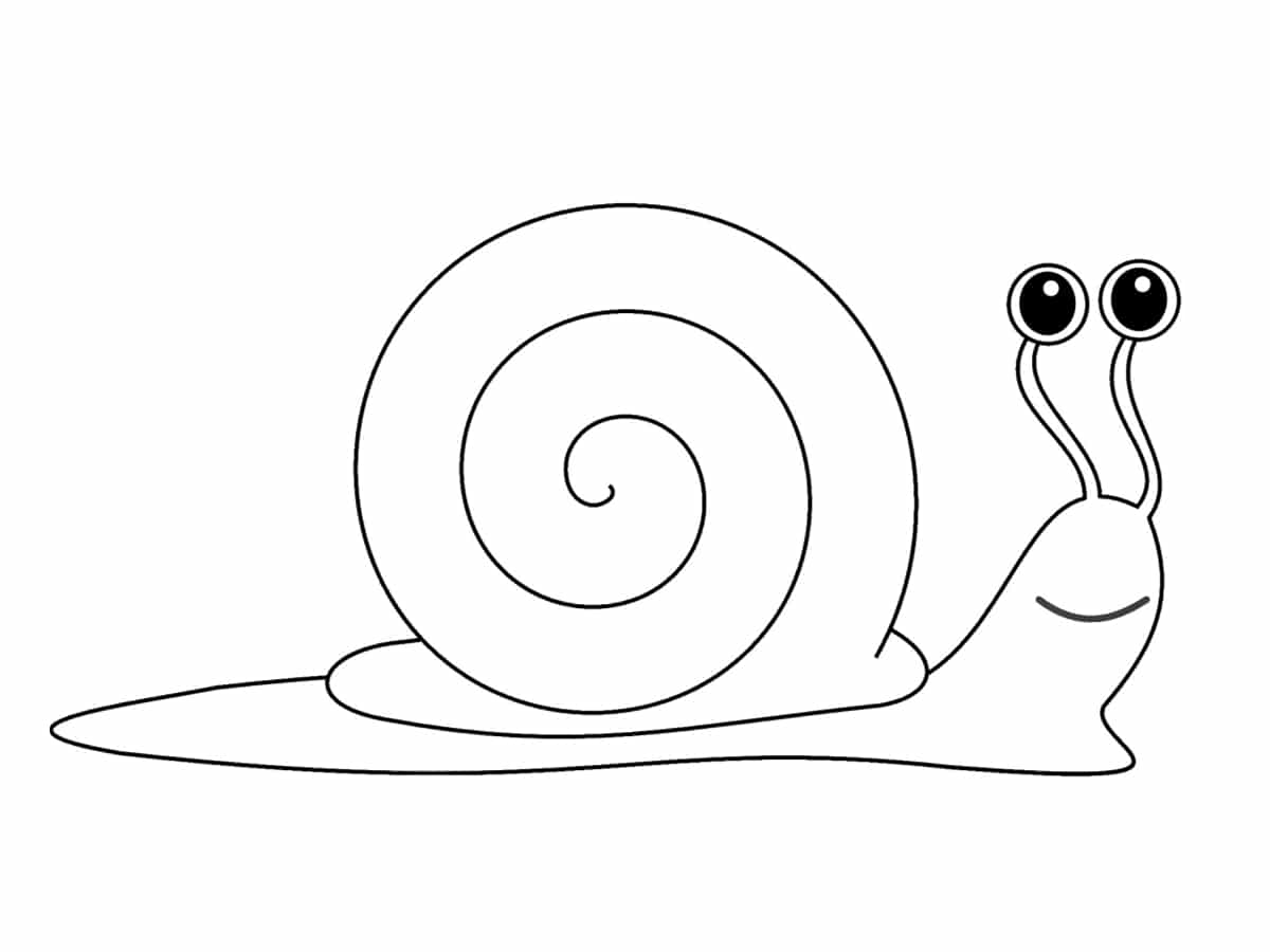 Coloriage escargot  20 dessins à imprimer gratuitement