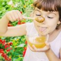Jeux sur les abeilles : des idées pour s’amuser sur le thème des abeilles