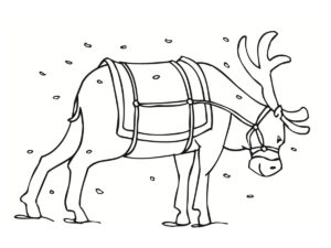 dessin renne de noel