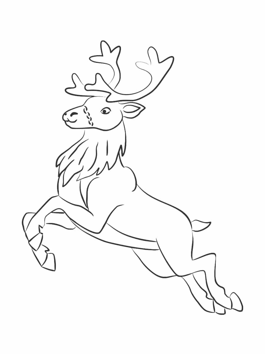 Coloriage renne de Noël  24 dessins à imprimer gratuitement