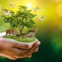 Jeu sur la chaine alimentaire et les pesticides : toxine