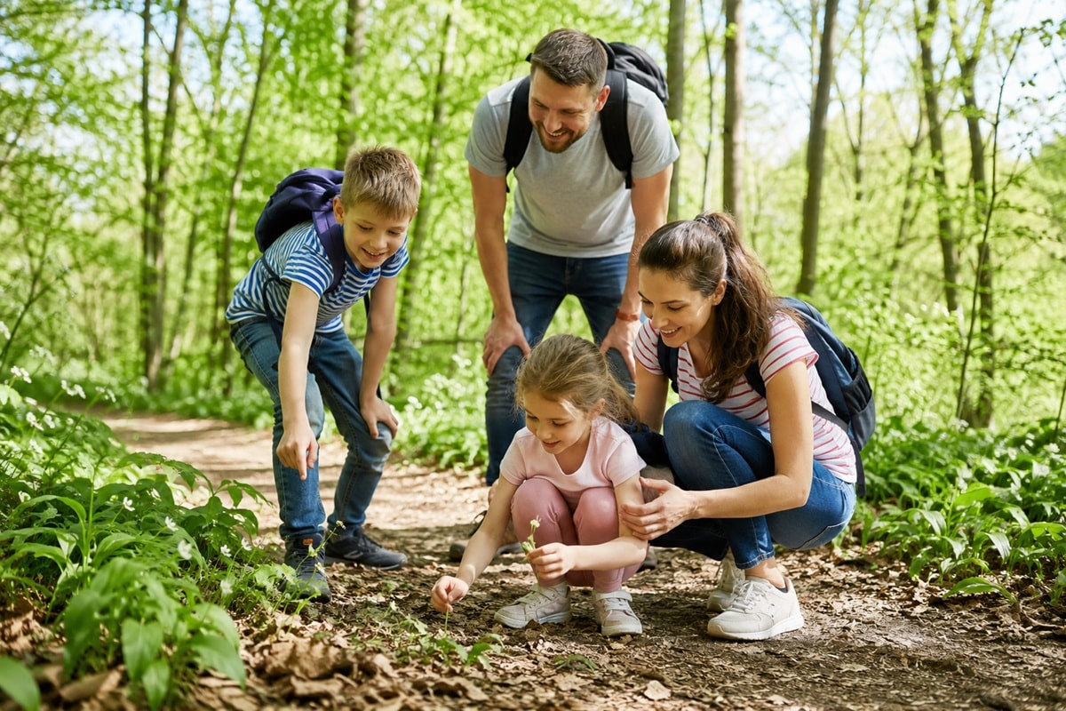 activités familiales insolites pour le printemps