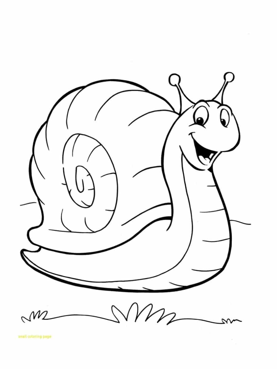 Coloriage escargot  20 dessins à imprimer gratuitement