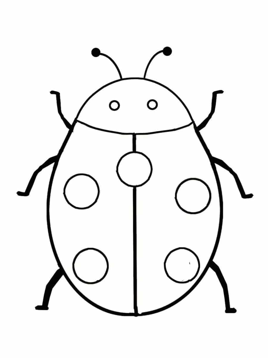 Coloriage insecte  dessins à imprimer gratuitement