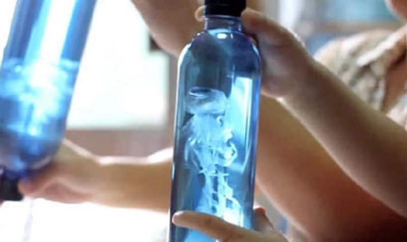 méduse dans une bouteille
