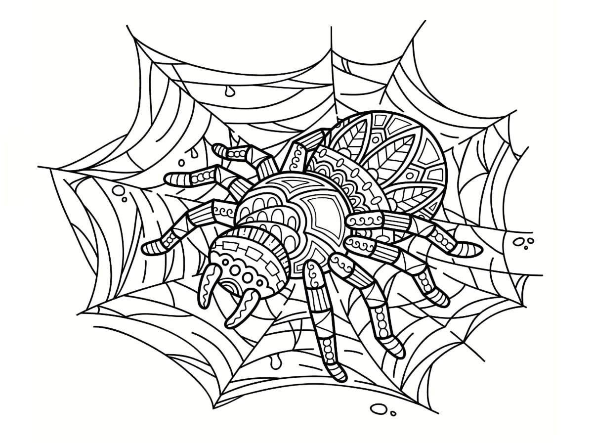 Coloriage Araignee 30 Dessins A Imprimer Gratuitement Coloriage Araignee 30 Dessins A Imprimer Gratuitement
