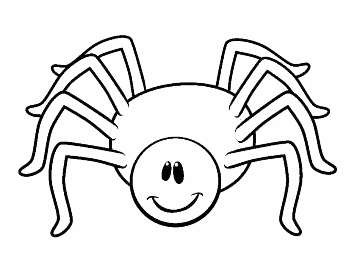 dessin araignée