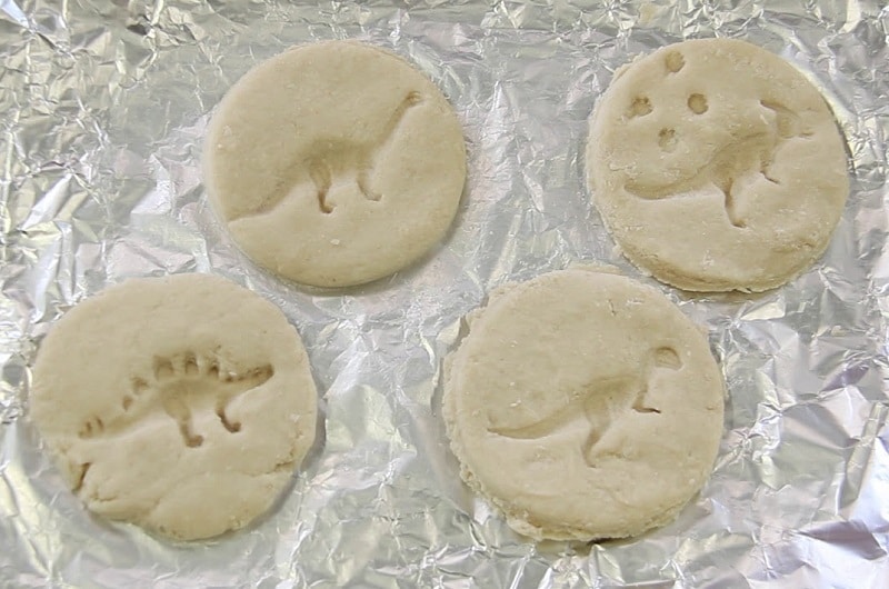 fossile dinosaure pâte à sel
