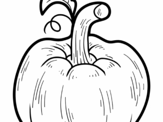 dessin citrouille