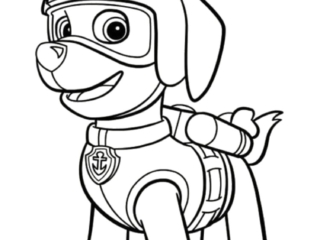 coloriage zuma pat patrouille