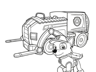 coloriage pat patrouille