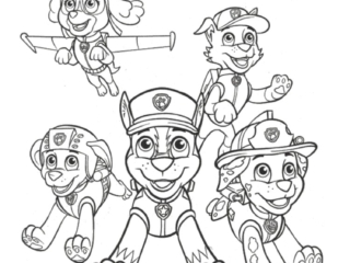 coloriage pat patrouille