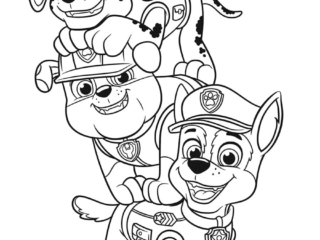 coloriage pat patrouille
