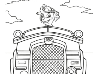 coloriage marcus et véhicule pat patrouille