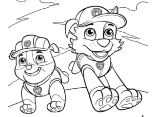 coloriage pat patrouille