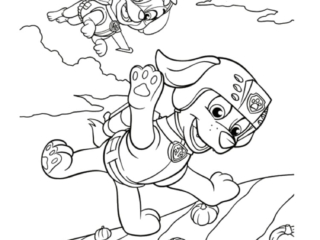 coloriage pat patrouille  à imprimer