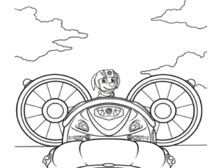 coloriage pat patrouille gratuit