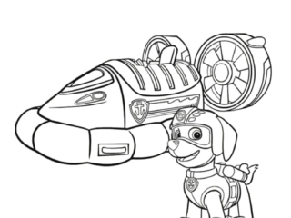 coloriage zuma et véhicule pat patrouille