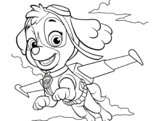 coloriage stella pat patrouille