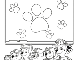 coloriage pat patrouille gratuit