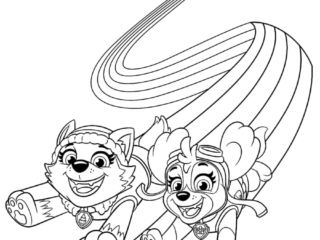 coloriages pat patrouille