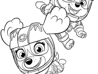 coloriage pat patrouille ruben et stella