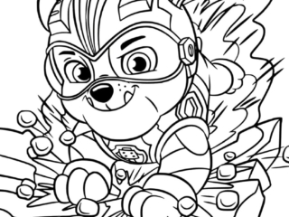 coloriage ruben pat patrouille