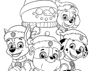 coloriage pat patrouille neige