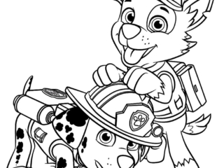 coloriage pat patrouille à imprimer