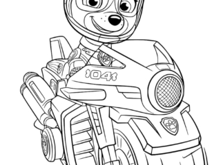 coloriage stella pat patrouille